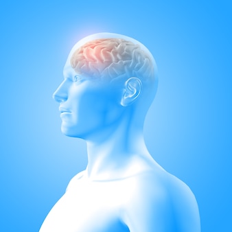 Rendu 3d d'une image médicale montrant le cerveau en figure masculine avec lobe frontal en surbrillance