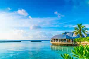 Photo gratuite repos soleil vacances atoll bungalow