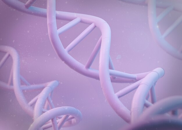 Représentation 3D de l'ADN