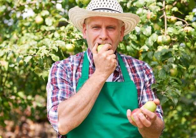 Rien de meilleur que la pomme de notre propre jardin