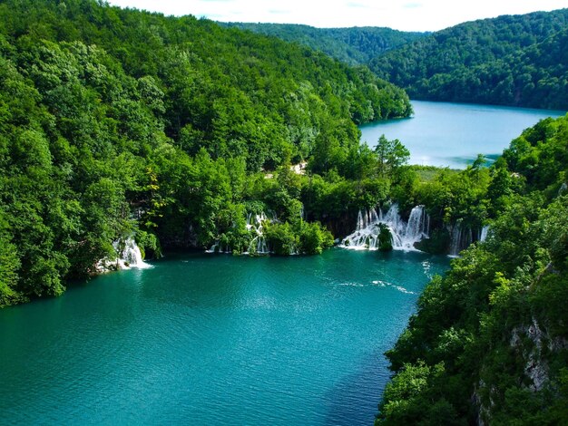 Rivière et arbres dans le parc national des lacs de Plitvice en Croatie