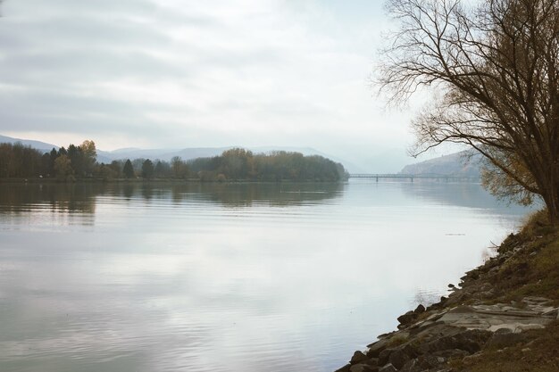 Rivière brumeuse