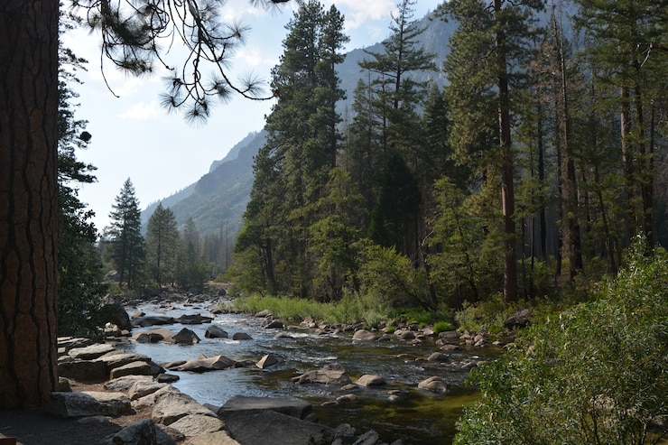 Photo gratuit rivière dans la nature