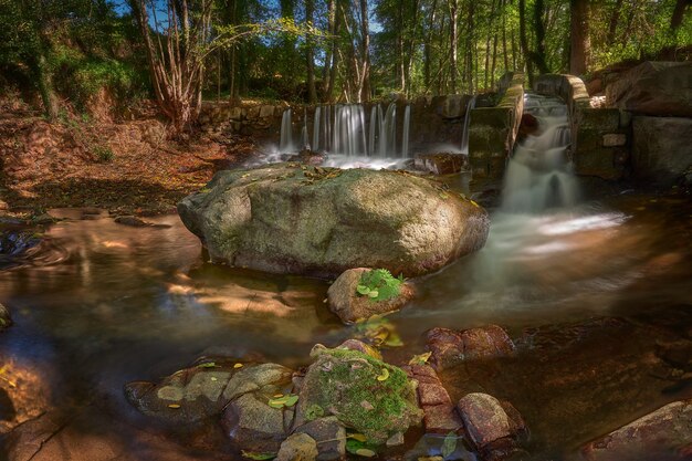 Rivière à longue exposition entourée de rochers et de verdure dans une forêt sous la lumière du soleil