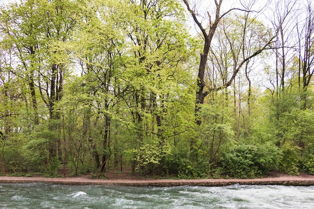 Rivière qui coule à travers la forêt