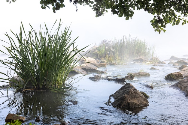 Photo gratuite rivière avec des rapides dans le brouillard tôt le matin.