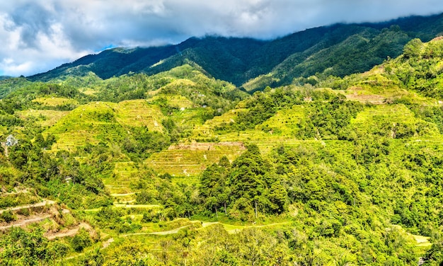 Rizières en terrasses de banaue - nord de luçon, patrimoine mondial de l'unesco aux philippines.