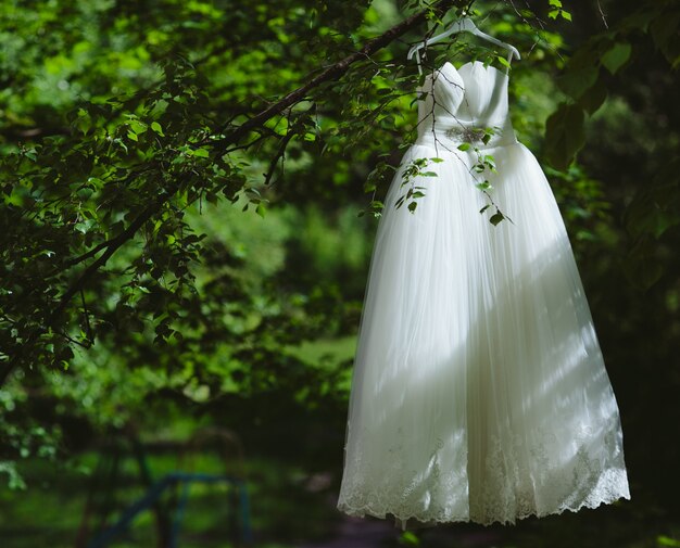 Robe de mariée dans un arbre