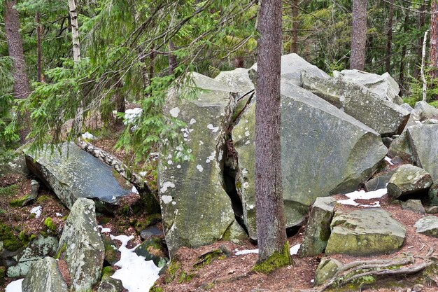 Roches de Dovbush dans la forêt verte aux montagnes carpathiennes