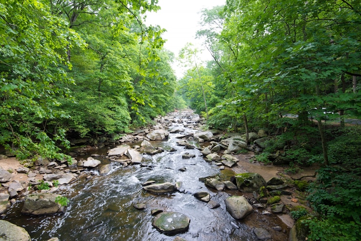 Photo gratuit rock creek park