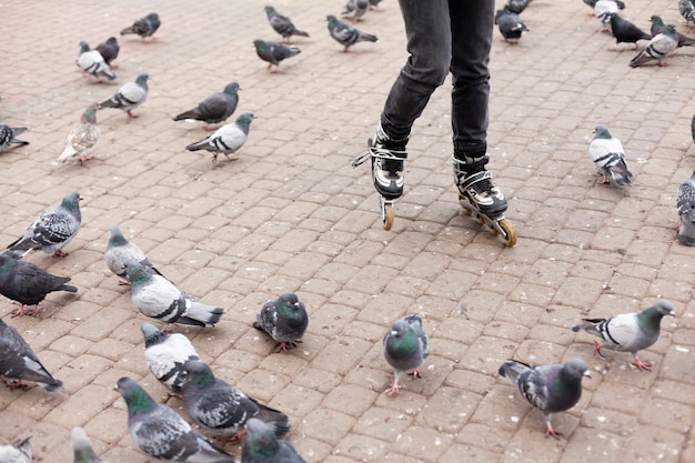 Roller femme avec pigeons