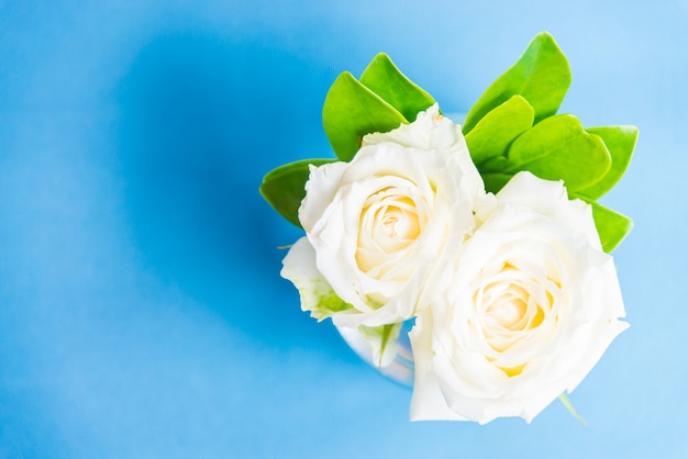 Photo gratuite rose blanche en verre vase