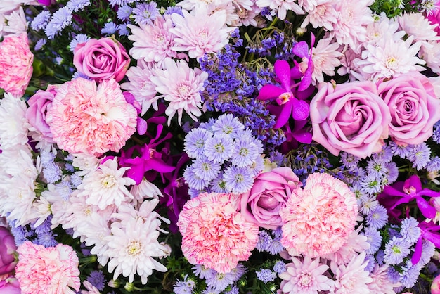 Photo gratuite rose et fleurs violettes