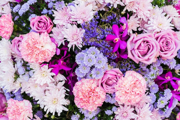 Rose et fleurs violettes