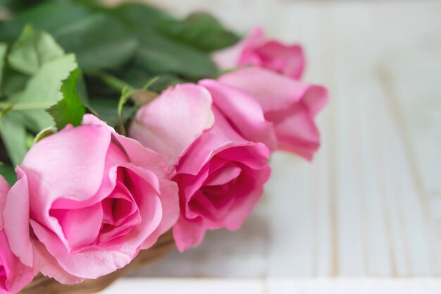 Rose fraîche rose sur fond en bois blanc