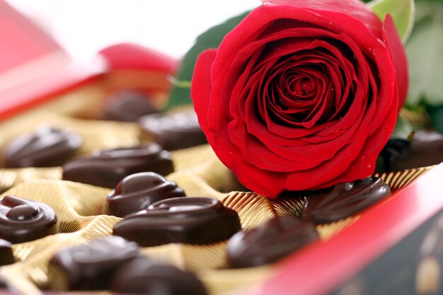 Rose rouge et bonbons au chocolat