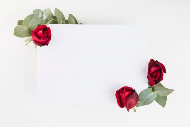 Une rose rouge décorée sur du papier blanc sur fond blanc