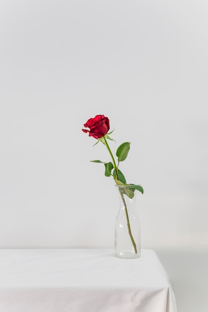 Photo gratuite rose rouge fraîche dans un vase sur la table