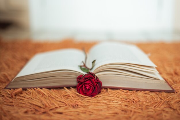 Rose rouge à l'intérieur d'un livre ouvert