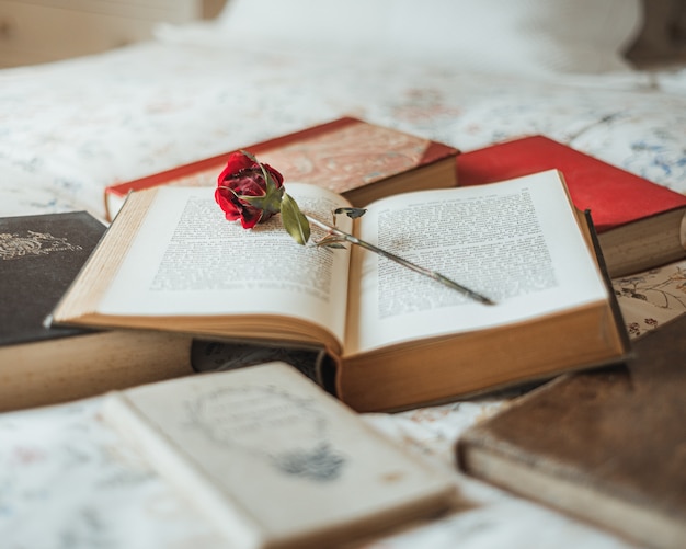 Rose rouge à l'intérieur d'un livre ouvert