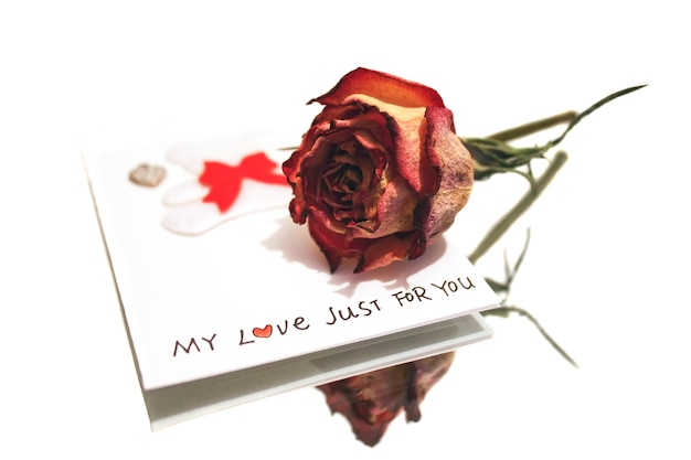 Rose séchée et carte postale romantique reflétée dans le miroir sur fond blanc