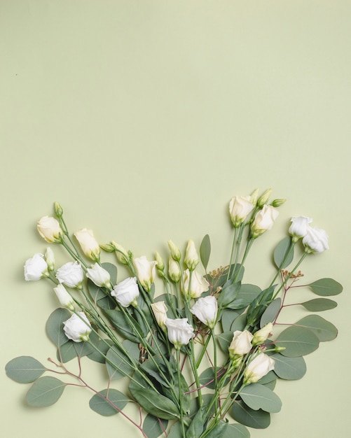 Roses blanches sur les feuilles