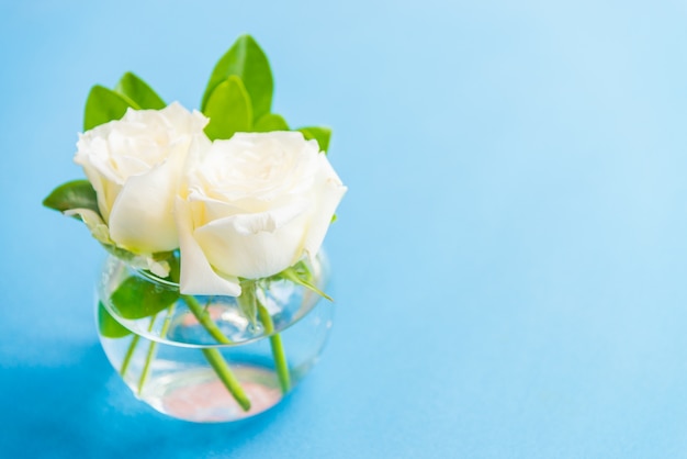 Photo gratuite roses blanches jolie