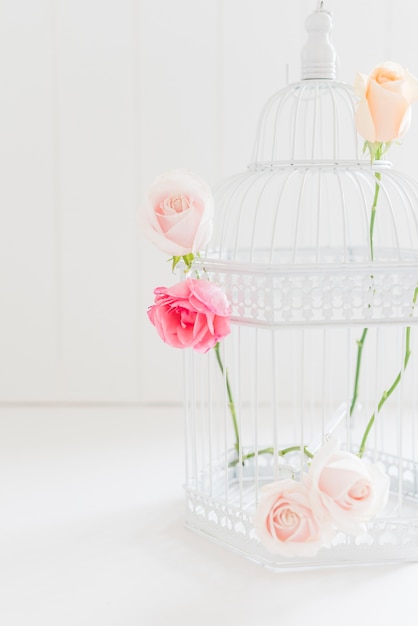 Photo gratuite roses colorées décoratives dans une cage