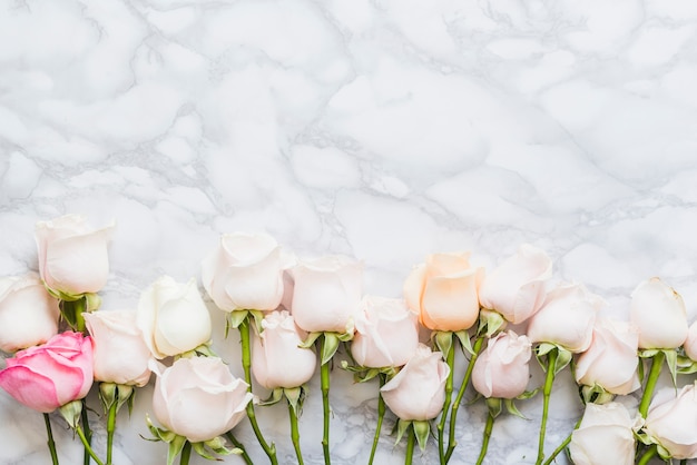 Photo gratuite roses colorées décoratives sur un fond