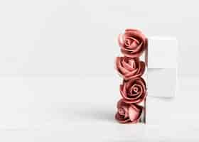 Photo gratuite roses et cubes blancs avec espace de copie