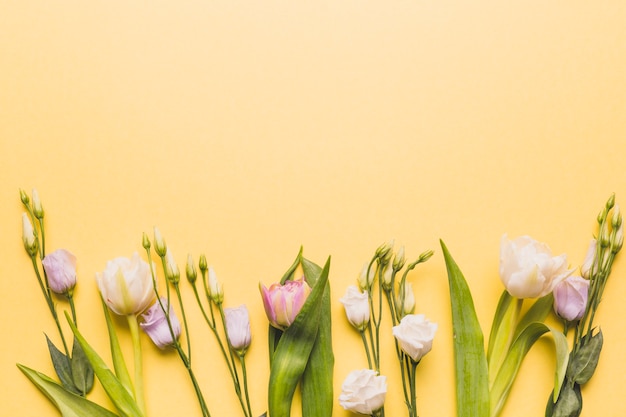 Photo gratuite roses élégantes sur jaune