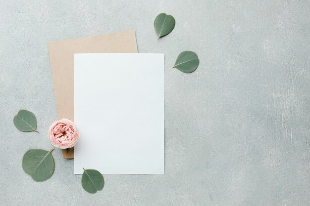 Roses et feuilles à plat avec des papiers vierges