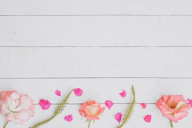 Roses sur fond en bois blanc