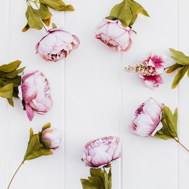 roses placées en cercle sur fond de bois blanc