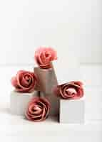 Photo gratuite roses vue de face sur des cubes blancs