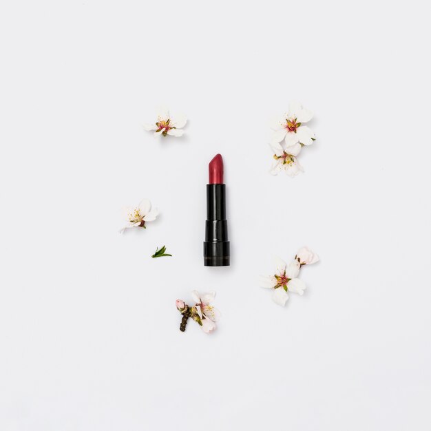 Rouge à lèvres avec brindille de fleurs de printemps sur fond blanc