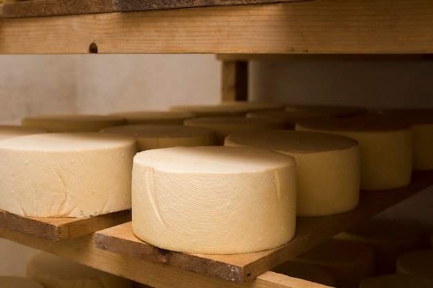 Photo gratuite rouleaux de fromage français à l'intérieur