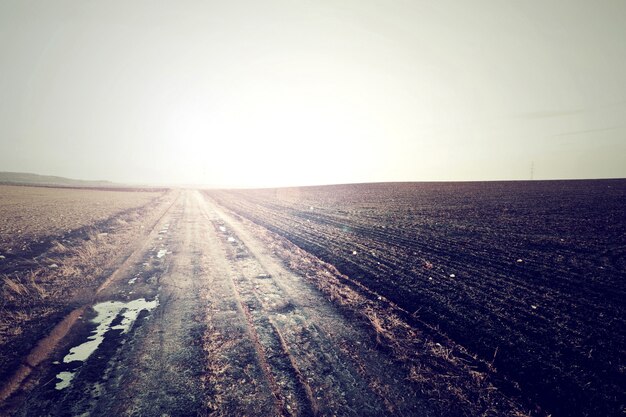 Route de campagne aux couleurs anciennes froides.