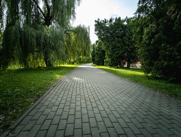 Une route carrelée à travers un magnifique parc avec de grands arbres et un feuillage vert luxuriant