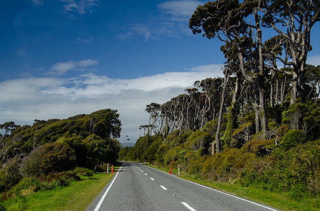 Route de la côte ouest, île du Sud, Nouvelle-Zélande