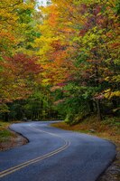 Photo gratuite route à couper le souffle entourée d'arbres d'automne magnifiques et colorés