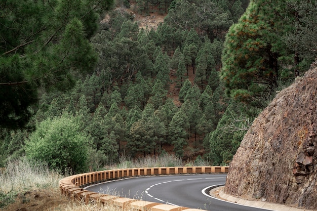 Photo gratuite route courbe dans la colline