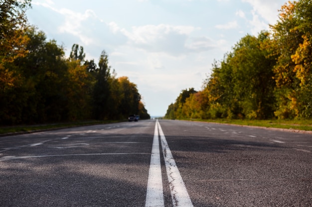 Route entourée de nature