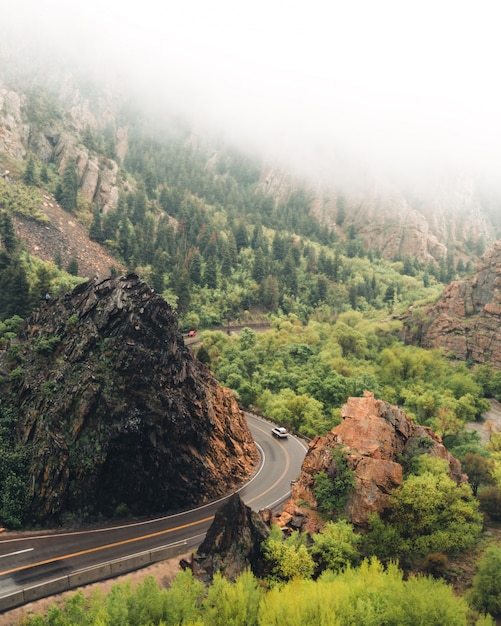 Route étroite incurvée avec une voiture dans les bois entourée de verdure