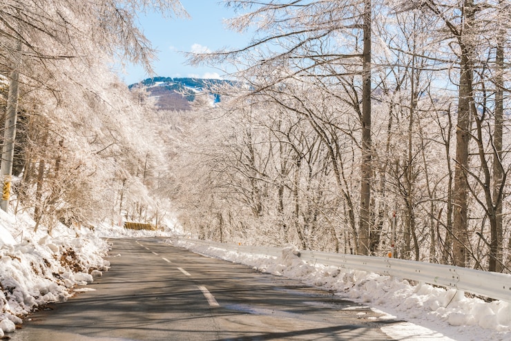 Photo gratuit route à la montagne en hiver (japon)