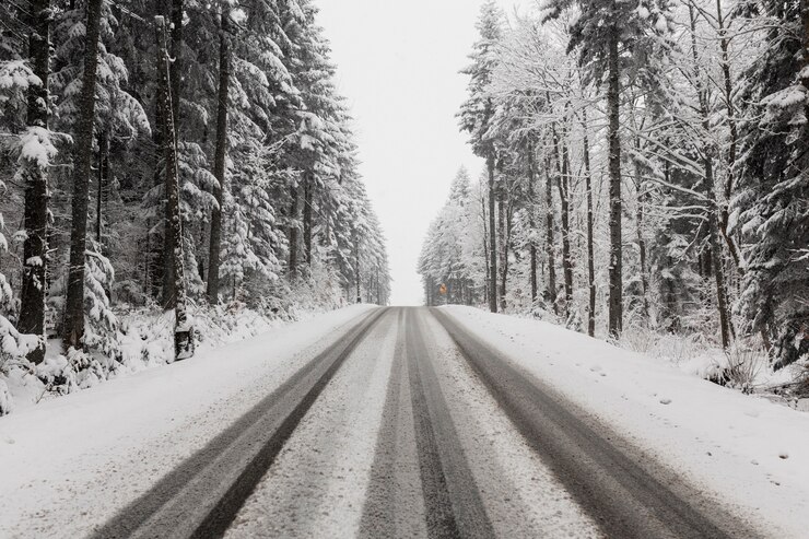 Photo gratuit route à travers la forêt d'hiver