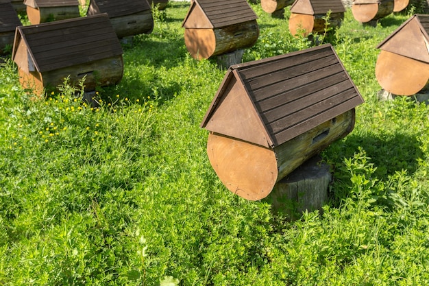 Photo gratuite ruches avec des abeilles