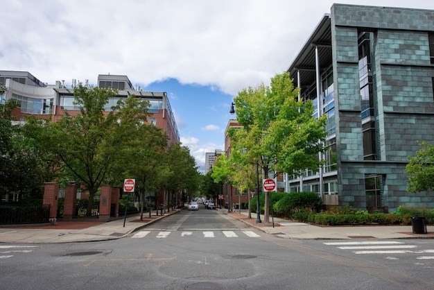 Rue avec des bâtiments modernes et des arbres verts