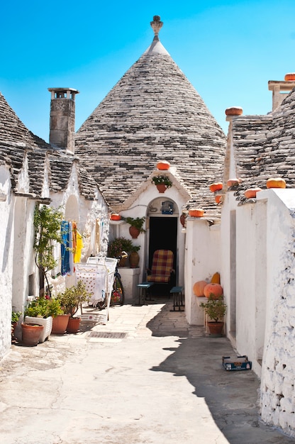 Rue avec des citrouilles