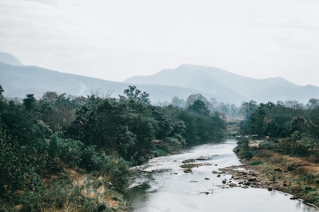 Rue Thaïlande, nature